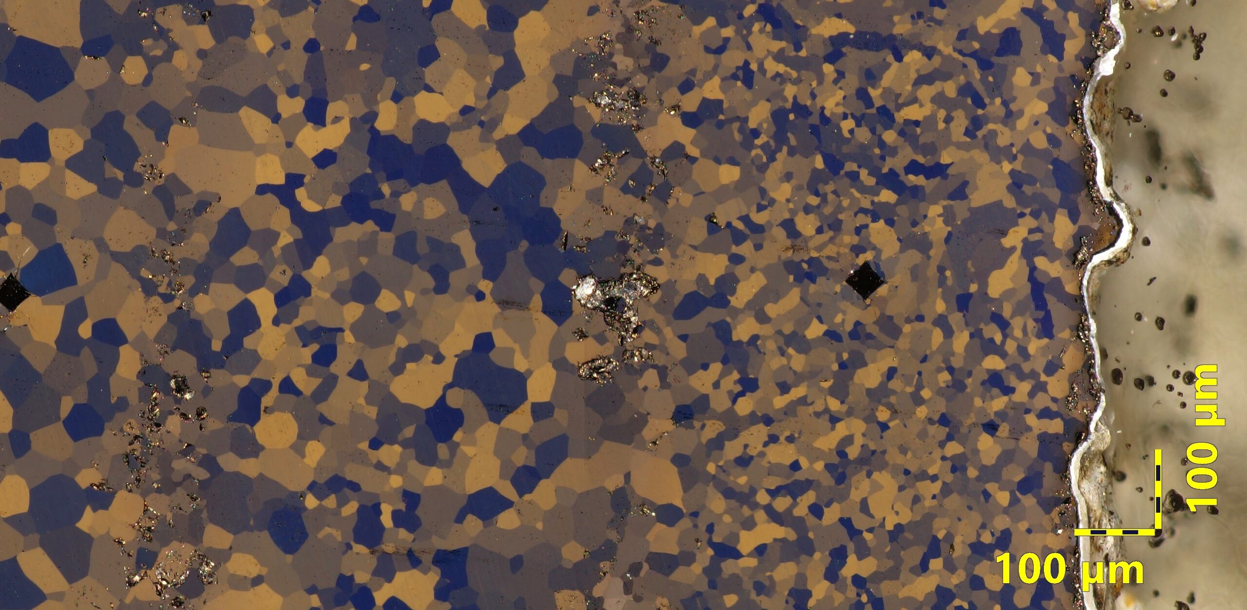 CP Ti microstructure