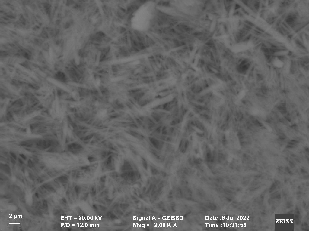 Corrosion Scale on Ti