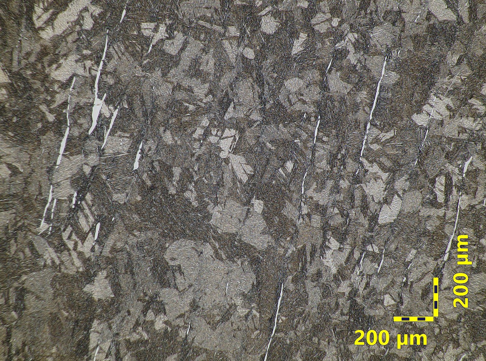 Delta ferrite in martensitic stainless steel