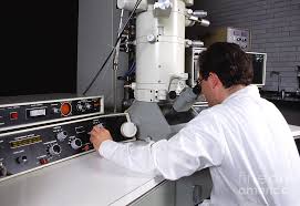 Scanning electron microscope
