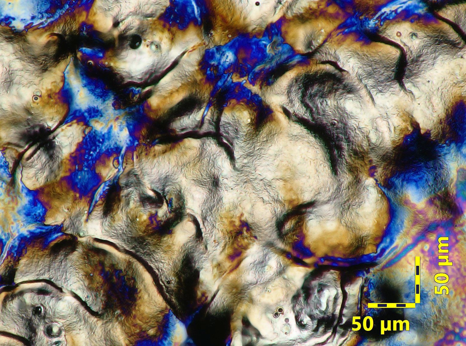 Laser cleaned sample under microscope