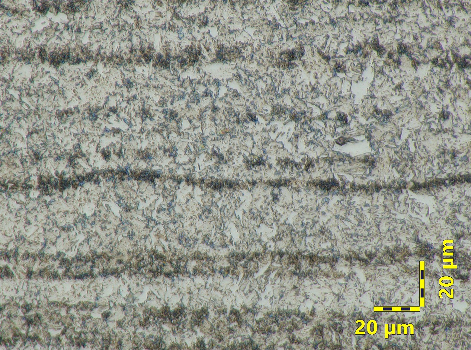 Martensite with segregations