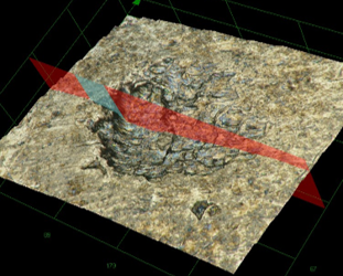 Corrosion analysis