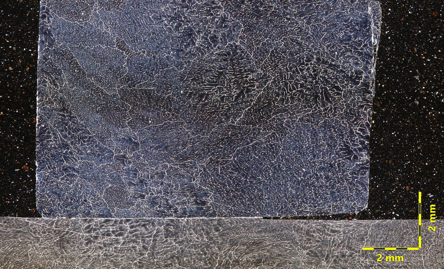 Optical micrograph