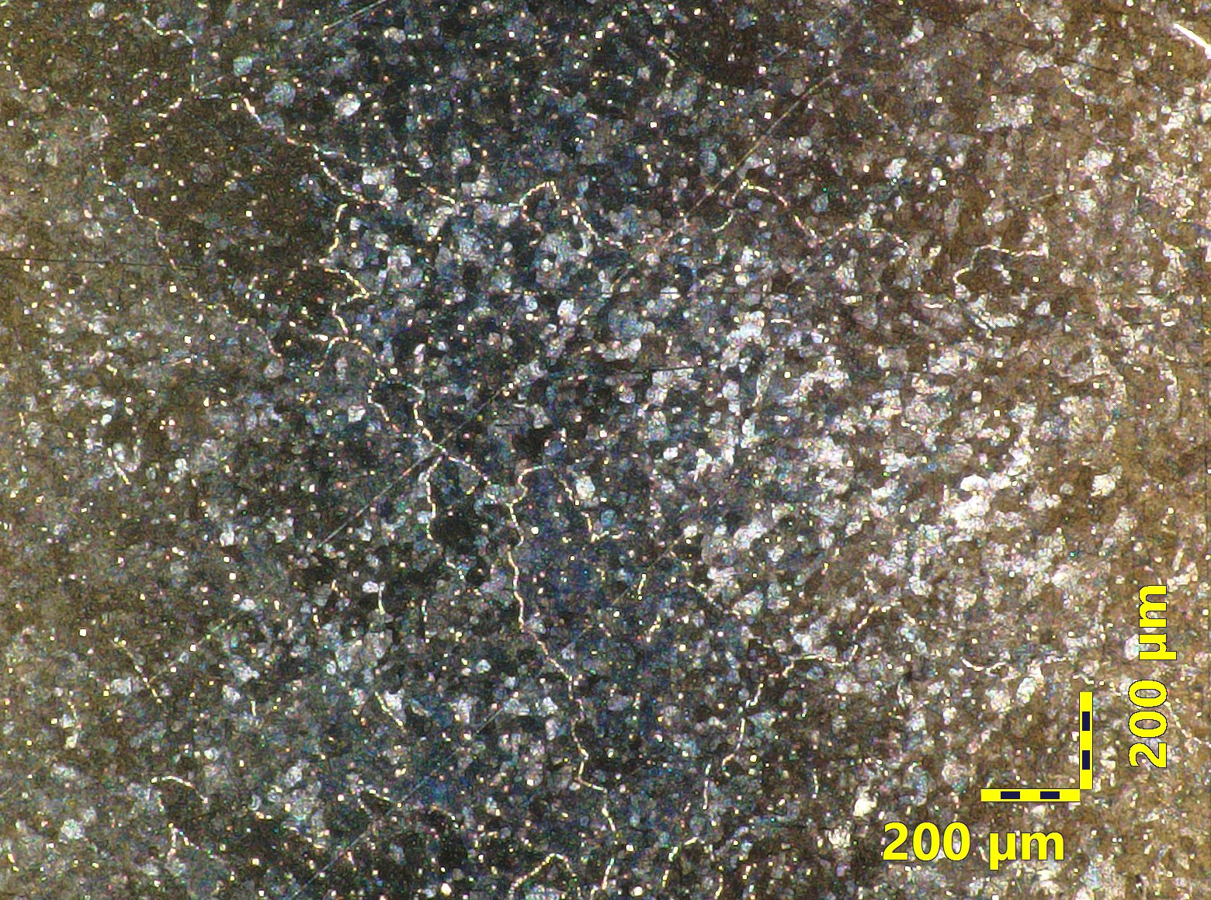 Optical micrograph