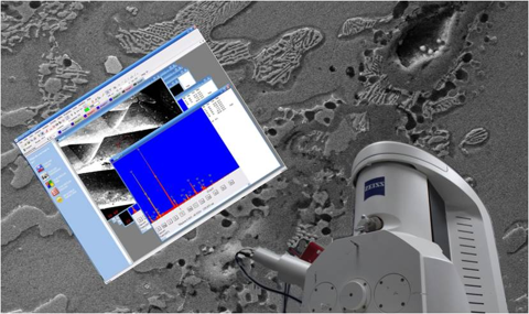SEM imaging station