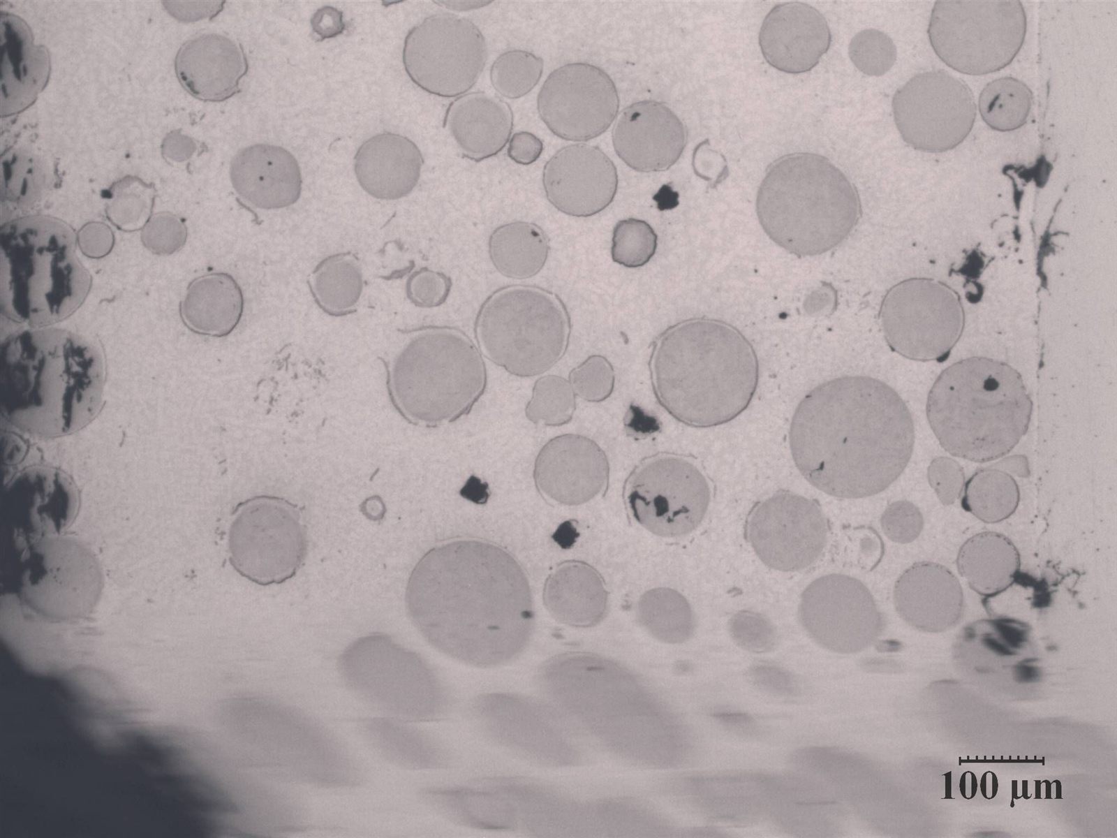 Cross-section micrograph of a metal coating