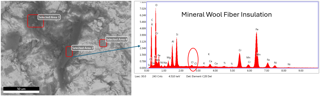 SEM micrograph